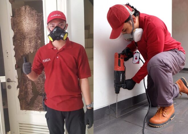 Harga Paket Jasa anti rayap Batam Terupdate