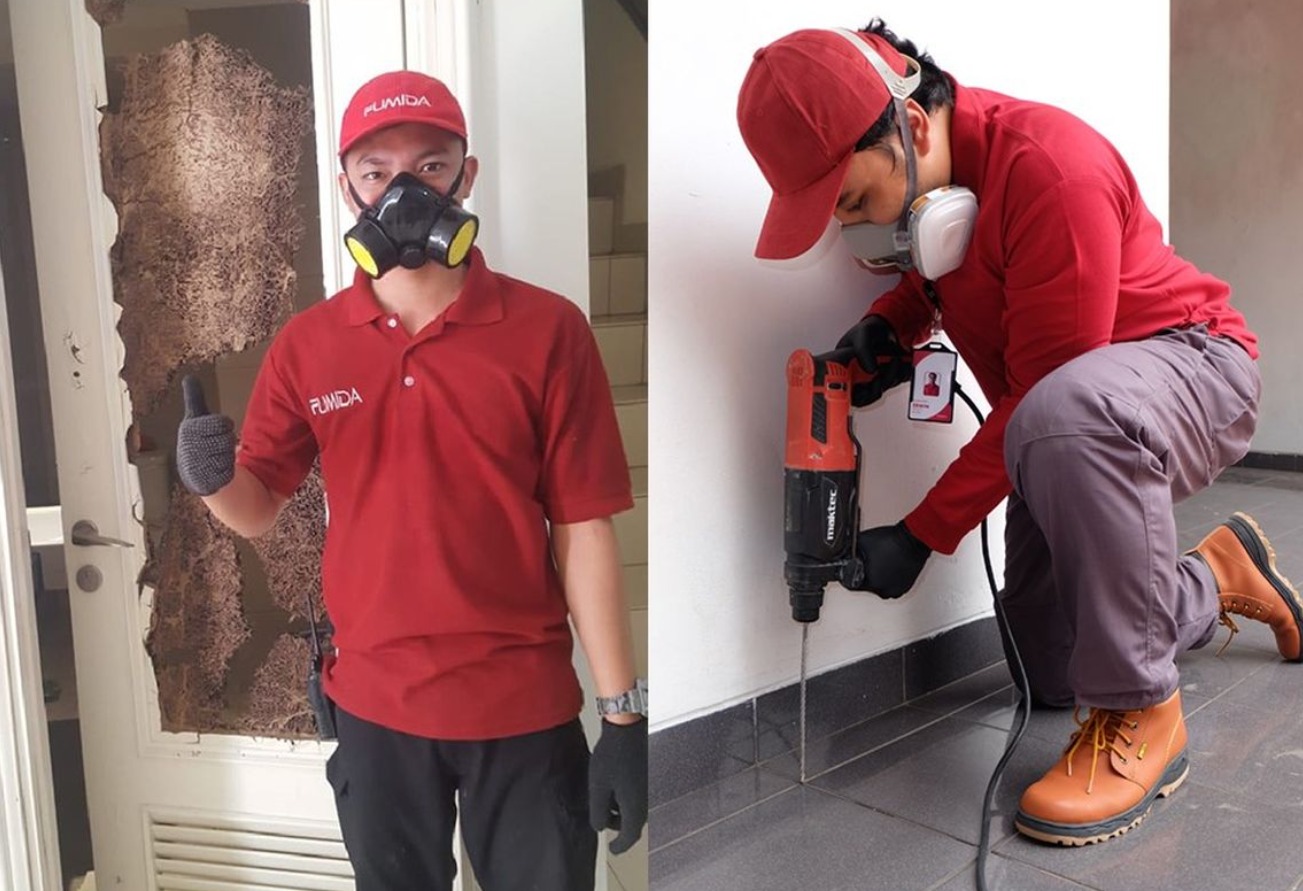 Harga Paket Jasa anti rayap Batam Terupdate